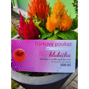 Dárkový poukaz