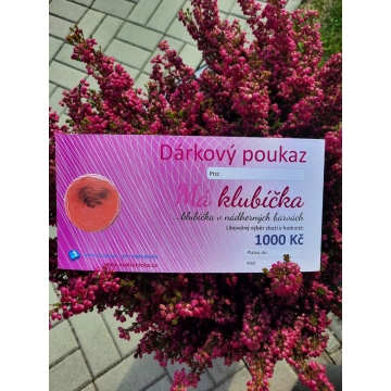 Dárkový poukaz